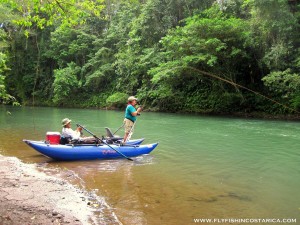Tight to a machaca on one of our favorite jungle rivers. Note the color of the water - ideal for machaca on topwater flies.