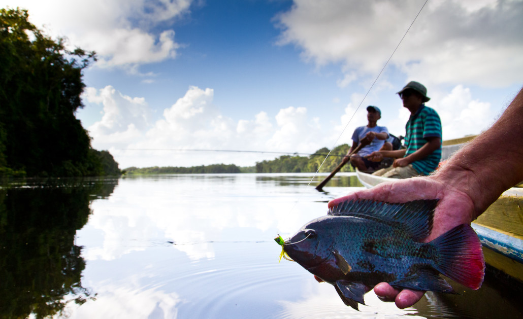 Top Gear Essentials for Fly Fishing in Costa Rica’s Coastal Waters