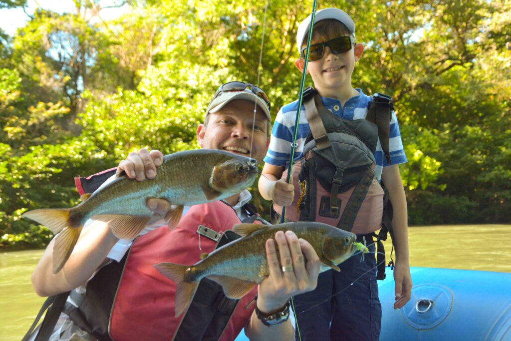 Finding New Rivers to Fish Machaca