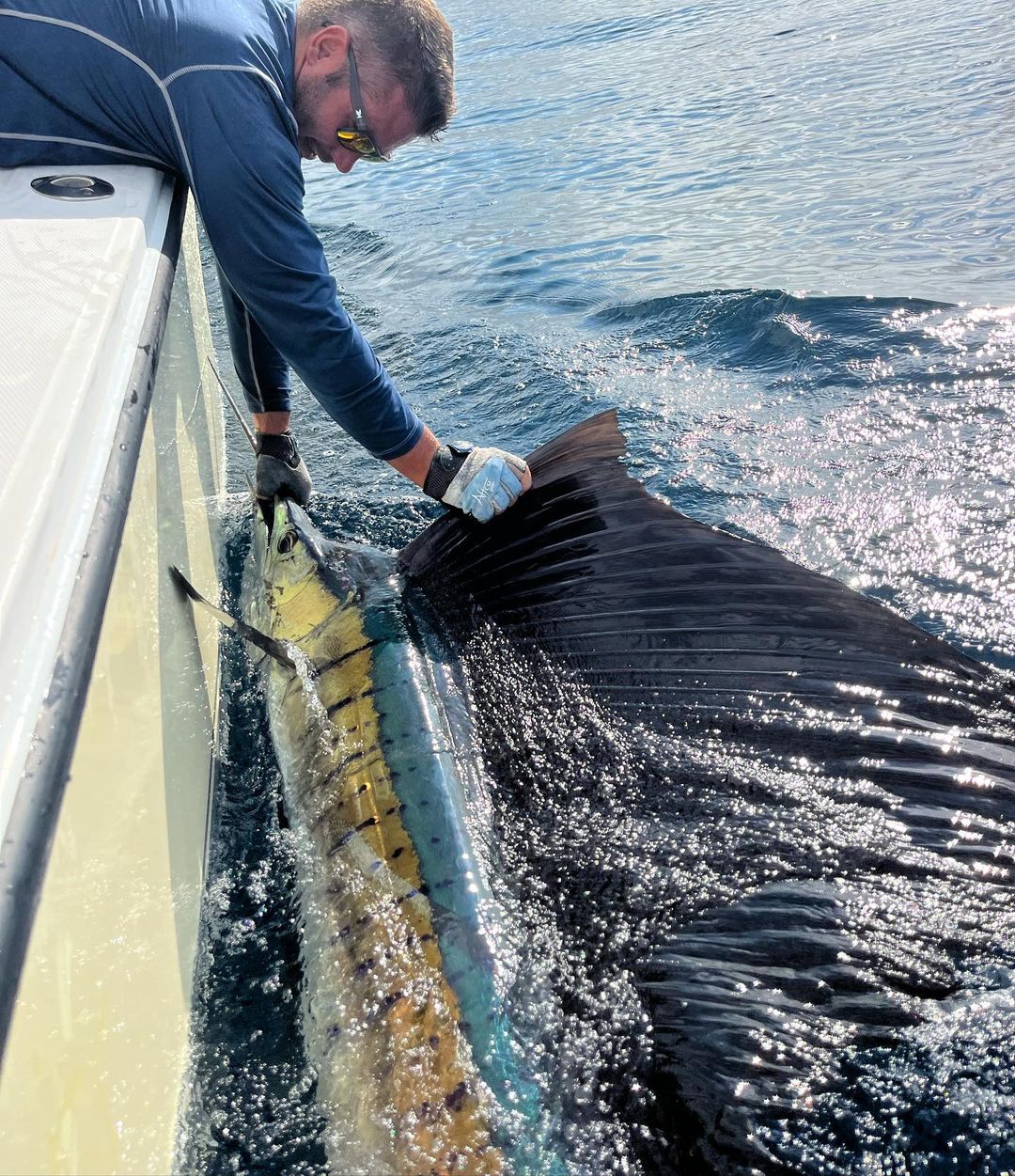 Sailfish in Costa Rica Flamingo