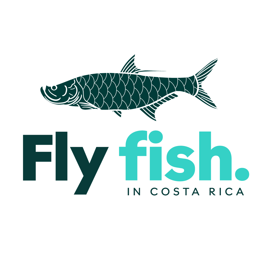 Fly Fish in Costa Rica Logo