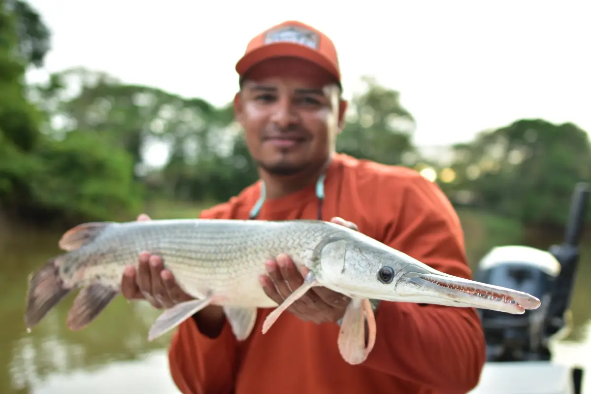 Jungle Tarpon Fishing Costa Rica: The Ultimate Fly Fishing Adventure