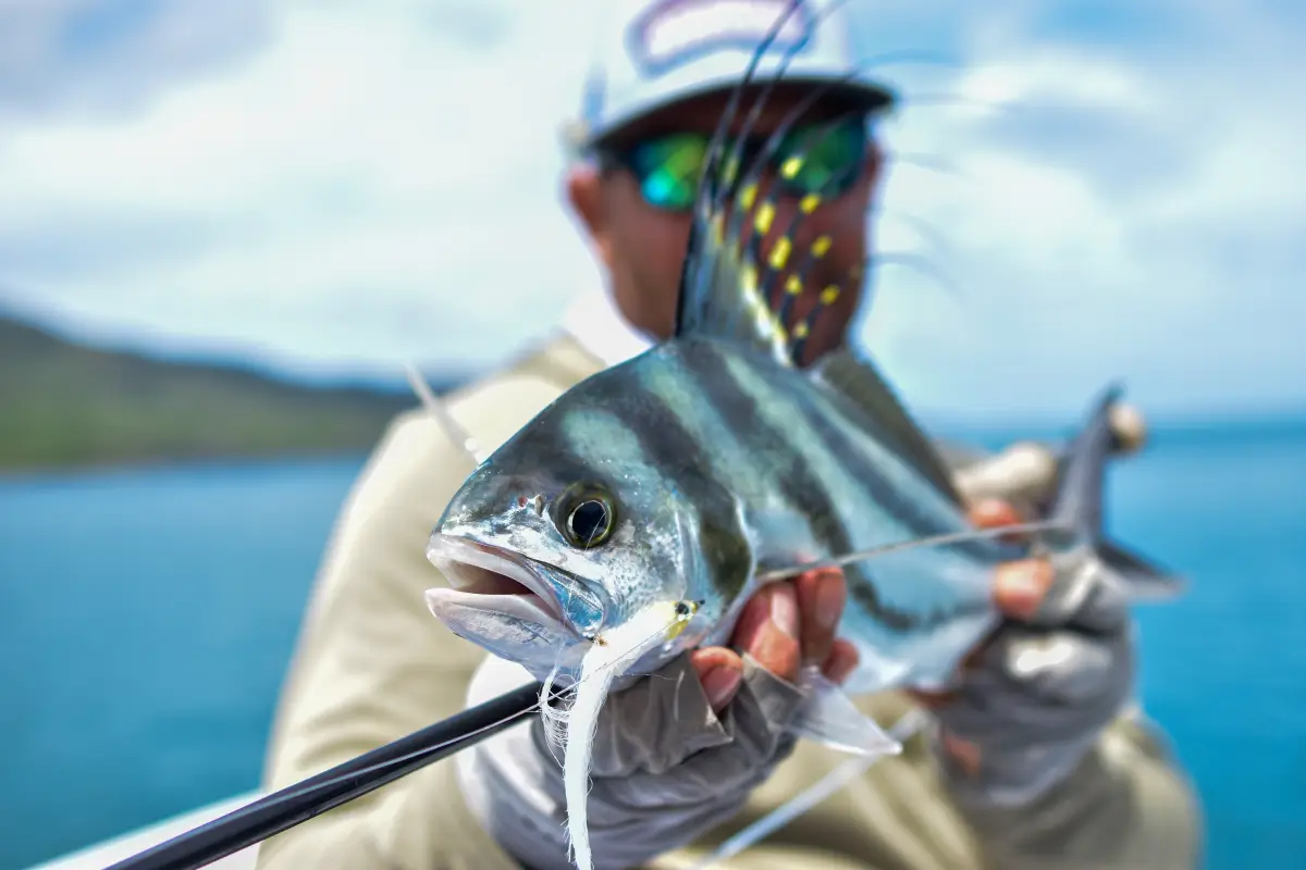 Roosterfish Fly Fishing Catch