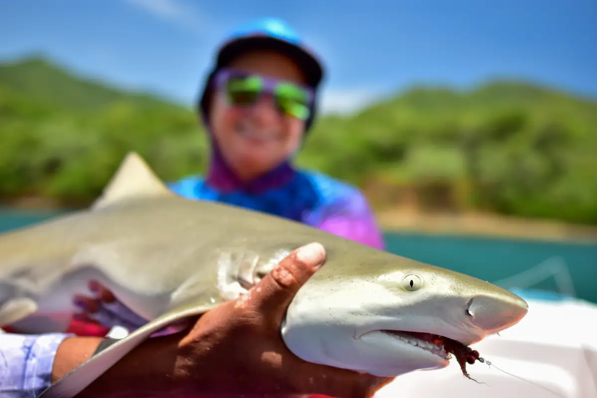 Small Shark Capture Cuajiniquil