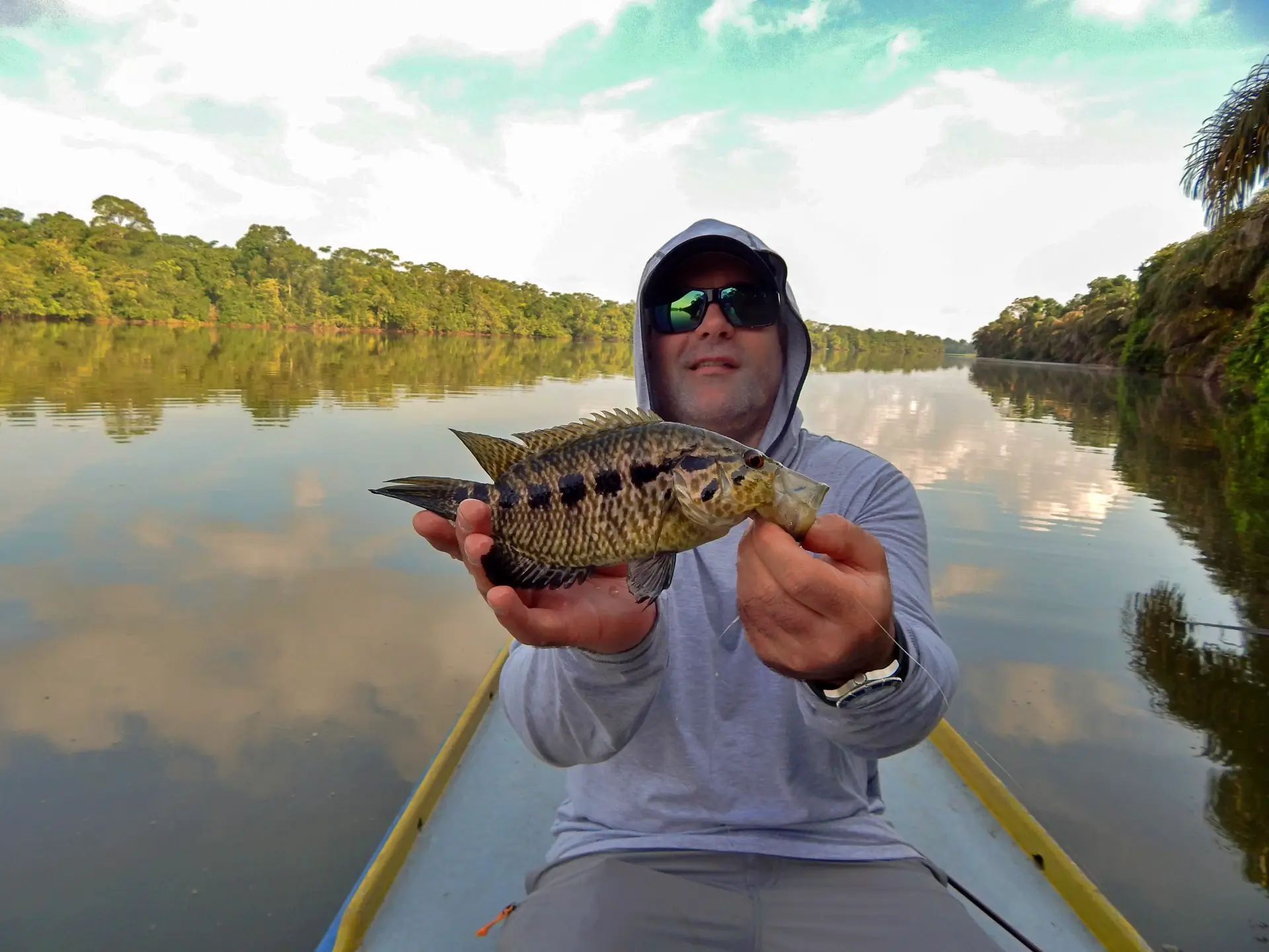 guapote-jaguar-cichlid-fly-fishing-limon-costa-rica