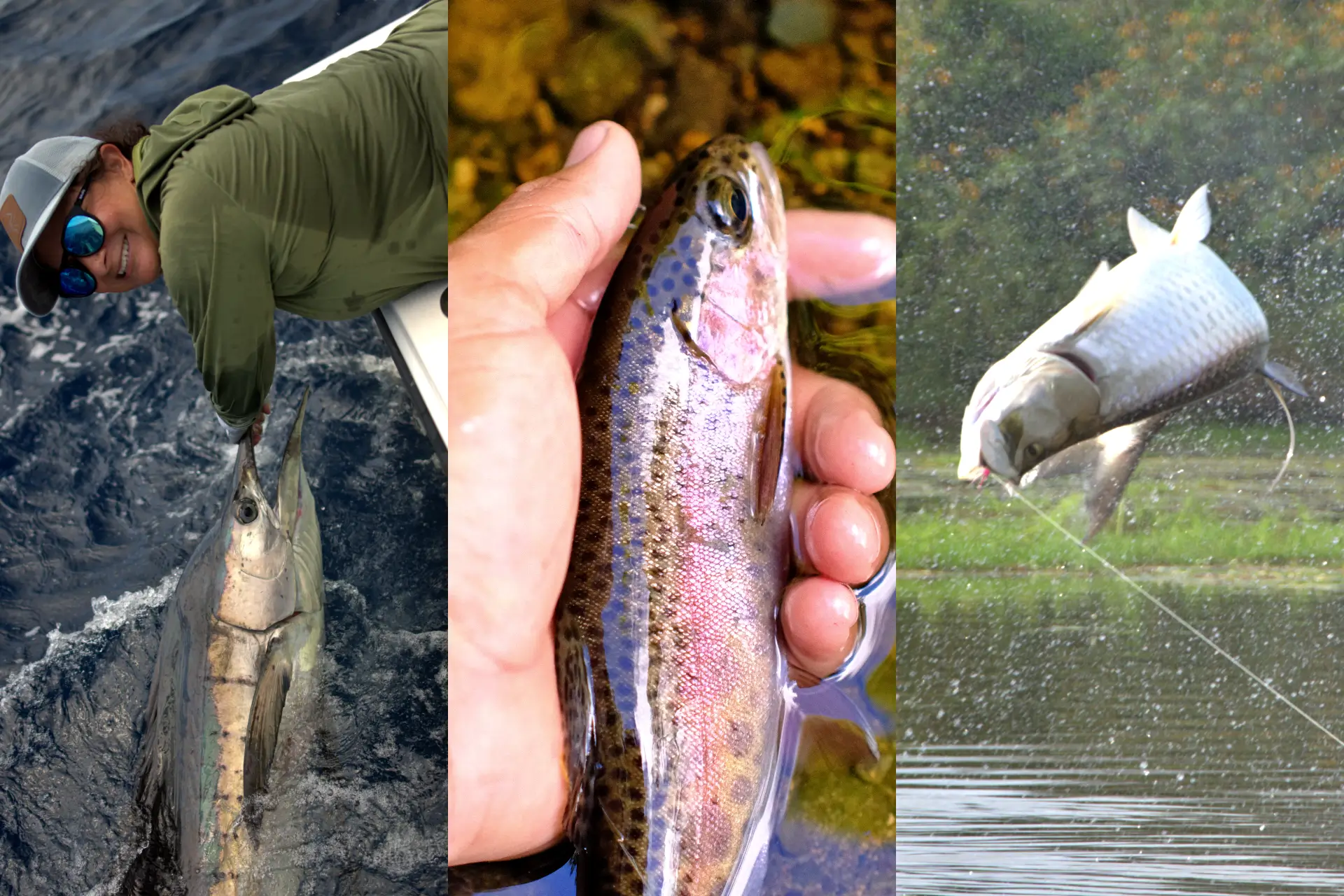 costa rica fishing packages