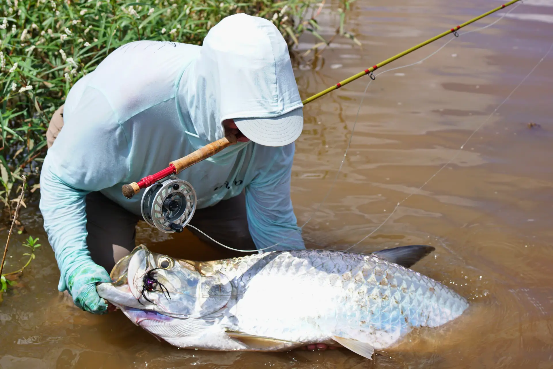 Fly Fishing Packages in Costa Rica